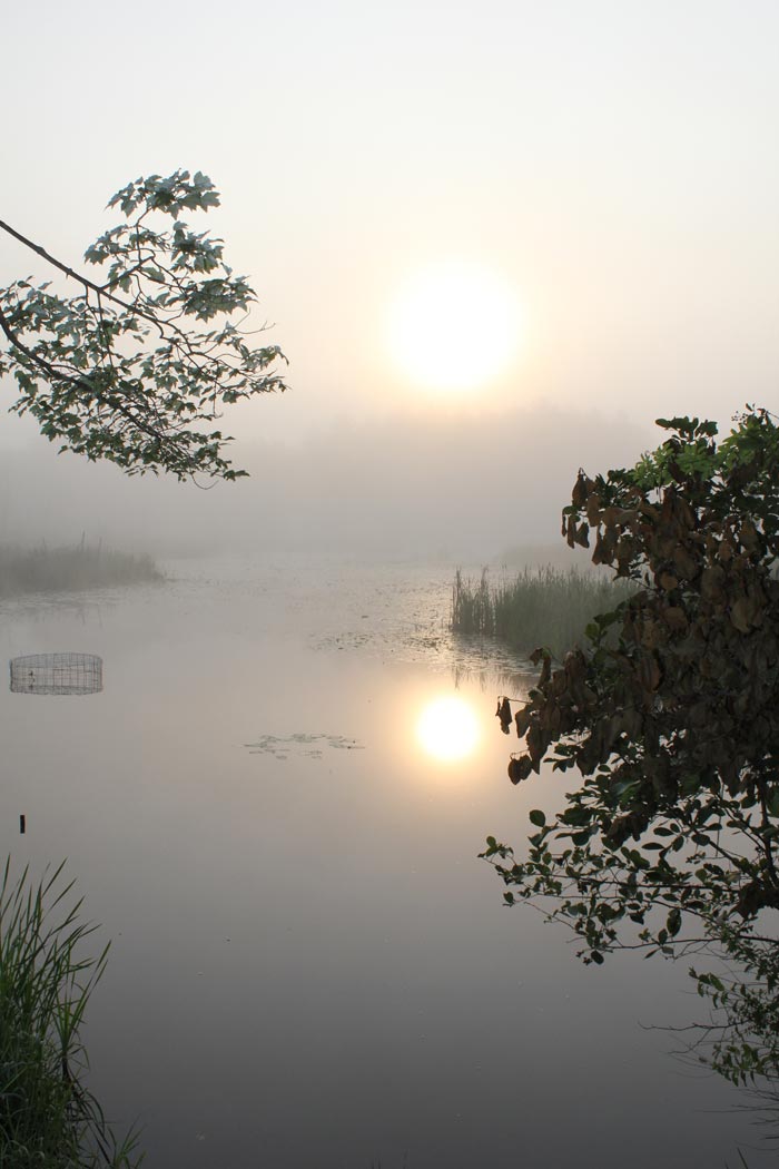 Pond Sunrise Photography